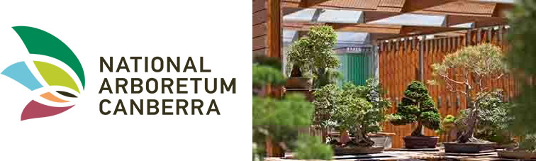Bonsai Week 2019 Bonsai Week 2019